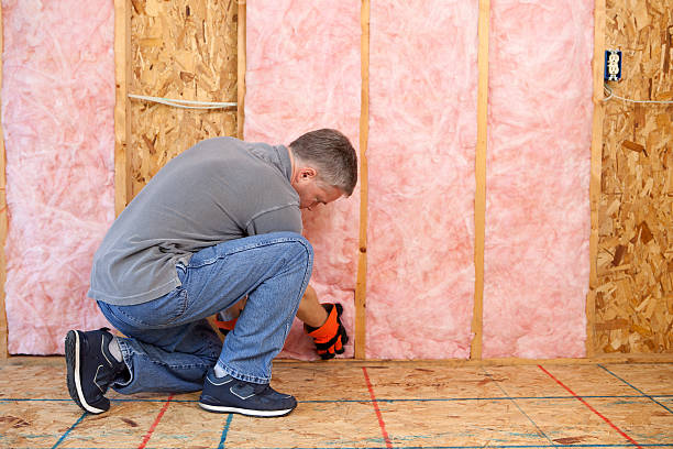 Best Specialized Insulation Services in Merrifield, VA