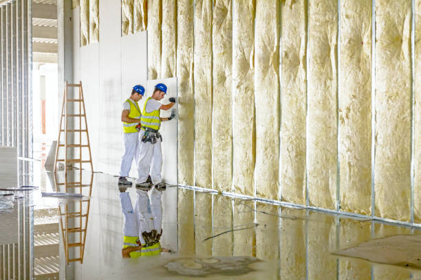 Types of Insulation We Offer in Merrifield, VA